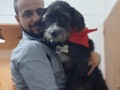 🐶🐺Aprender a dar el amor que recibimos, aprender a recibir el amor que nos dan!!! No hay uno más puro!!!! 🤖💎 #dog #puppy #love #tbt #buenoaires