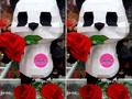 @plastickandy 🎉🎁🎀🤡🎀🎁Tenemos Cositas Súper Lindas Merienda sorpresa👇👇👇😍 Desayunos sorpresa ☕️ 🍕🍦🍔 Arreglos florales 🌻🌷🌼🌺🥀 Cajas con rosa 💐🌹🥀 Peluches todos los tamaños🦁🐼🐻🐹🐰 Globos con Helio  Globos al por mayor metalizados y de latex  Cajas sorpresa 🎈🎈🎈 Tarjeteria✉️💌💌 Cojines y mucho más Alcancias Mugs personalizados 🍵🍵 Camisetas personalizadas👕👕 Gorras personalizadas 🎩👒👒 @plastickandy  @plasticjandy @plastickandy💌 ------------------------- 🤝te esperamos de ...🤝 • Lunes a Sábado 🕟De 8am a 7pm🕟 ✅Jornada Continua 😍😘 Estamos ubicados en la carrera 23 # 6 bis1 -21 barrio candelaria norte Valledupar -Colombia😃 WHATSAPP📲📲3215243857 -------------------------- #valledupar #detallesvalledupar #iracal #costeñosymasna #detalles #colombia #amoryamistad #valledupar #lotenemostodo #estampadosvalledupar #gorrasvalledupar #globosvalledupar #amoramoramorymasamor #anchetasvalledupar #frutasvalledupar #chocolatesvalledupar #amorvalledupar
