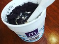 #mcdonalds #mcflurry #icecream