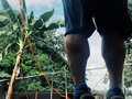 Ahi vamos poco a poco con ahora 600 saltos. Si el cuerpo dice unos más, que la mente lo haga hacer 10 más.