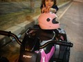 Que nunca falte el ride 🏍️ en tu vida mi pequeña 🥰🤭🔥 #gmmatic🍼