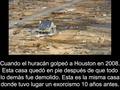 Sigue la cuenta más espeluznante de Instagram 😱 @imagendelpasado 📰. Los hechos y las historias más perturbadoras.  @imagendelpasado  @imagendelpasado  @imagendelpasado Otra perspectiva hacia el pasado ¿Te atreves a seguirla?
