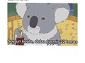 🐼😂