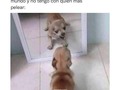 2022-10-19 00:39:07