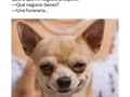 😂😂