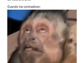 😂😂😂