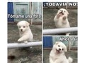 😂😂