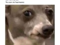 😂😂😂