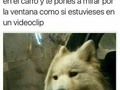 Jajaja #humortoday