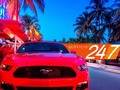 Te esperamos en Miami con el mejor servicio de rental cars @vicfirentalcars