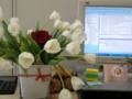 beautiful flowers in the office