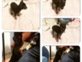 Se vende #Pincher cachorro con un mes y medio de nacido interesados Inf aquí o al 04141266392 #EnBuscaDeUnaCasita 🐶😞😏🙏
