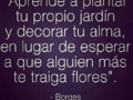 Feliz Miércoles 👌🏼👏🏼