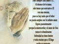 Gracias mi Dios porque con tu fuerza y amor nos demuestras cada día que no estamos solos, gracias a ti mi Dios por tu gran misericordia hacia mi chiquitico que sana día a día. Bendito seas Señor. Miles de oraciones que no son en vano demuestran tu gran fuerza y poder hacia nosotros tu que todo lo puedes, levanta sano y salvo a mi chiquito a mi tesoro y mi pedacito de cielo. Desde aqui pido por ti mi bello, no estas solo #Aless #ElSeñorEstaContigo #Fuerza #Fe #Esperanza #DiosEsGrande #SanacionParaMiBebe