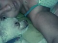Peludo Amor #Bethoven ❤