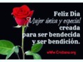 Feliz Día Internacional de la Mujer 👏🏼🙋🏼🌎🌍🌏