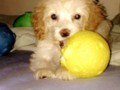 #Conny ❤️❤️