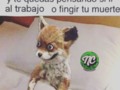 Hoy a más de uno le pasó. 😂😂😂😂😂😂