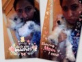 No me dicen Mama, pero ladran amor, me lamen ternura, y saltan de alegría cada vez que me ven al despertar y al llegar de mi trabajo.. Son únicos para mí y su AMOR es el más perfecto #Conny&Bethoven ❤️🐶❤️🐶❤️🐶❤️🐶❤️🐶