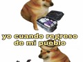 Esto es tan real 🤣