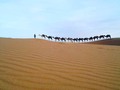 Directamente desde #erfoud  Gracias Youssef por la excelente vista. See you soon  #desert #sahara  #friends 🌍