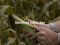 Tonada de Luna llena. MV. 05/05/23. Tomorrow! 🥀