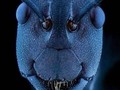 - Dime algo que no sepa. - Esta es la cara de una hormiga vista desde un microscopio.