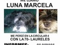 Twitter haz tu magia. LOS DE MEDELLÍN PORFA⚠️⚠️⚠️⚠️⚠️