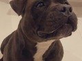Mi Nalita Bella, la extraño mucho.   Una fotito de nuestra videollamada de hace unos días 🫶🏻