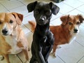 Mi familia me acaba en enviar una foto que me hizo soltarme en lágrimas a penas desperté. Los amo y extraño 😢😢😢.