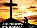 Lo que dios quiera cuando dios quiera y como dios quiera. #Dios #Querer #Frases #Frase #InstaFrase #JacobCjer #Playa #Sol #Religion