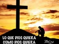 Lo que dios quiera cuando dios quiera y como dios quiera. #Dios #Querer #Frases #Frase #InstaFrase #JacobCjer #Playa #Sol #Religion