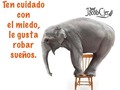 Ten cuidado con el miedo, le gusta robar los sueños. #sueños #miedo #frase #frases #frasesmotivadoras #frasesbonitas #frasessabias #frasesvip #frasesdodia #frasesenespañol #frasesdelavida #caracas #venezuela #venezolanosenelmundo #venezolanos #venezolanosenmiami #venezolanosenelexterior #ccs #merida #enero #domingo #vida #noche #cafe #sabadoenlanoche #findesemana #venezolano #venezolana #cerveza