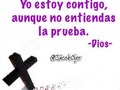 Yo estoy contigo aunque no entiendas la prueba. #Dios #Sabado #Enero #Frase #Frases #InstaFrase #InstaFrases #Prueba #Vida #Cafe #Desayuno #VidaSana #Venezuela #Caracas #Vargas #Ccs #Maracay #InstaVenezuela #Emprender #Emprendedores #VenezolanosEmprendedores #Venezolanos #VenezolanosEmprendedores