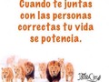 Cuando te juntas con las personas correctas tu vida se potencia. #personascorrectas #vida #Potencia #pasion #Esfuerzo #Lucha #Leones #Venezuela #Caracas #Ccs #Vargas #Maracay #Valencia #Frase #Frases #InstaFrase #InstaFrases #FraseDelDia #FrasesEnEspañol #Cafe #Insomnio #Noche #Emprender #Emprendedores #Marketing #MarketingDigital #InstaVenezuela #InstaCaracas #Miranda