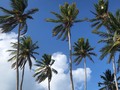 #FotoDelDía #PhotoOfTheDay #PhotoOfTheDay #Photography #SanAndrés #SanAndres #SanAndrésIsland #SanAndresIsland #SanAndrésIslas #SanAndresIslas #SanAndrésIsla #SanAndresIsla #Paisaje #Nature #Explore #Explora #Instagood #Instapic #PicOfTheDay #Health #Happines #TagsForLikes #FYP #LikeForLike #Likes4Likes #LikesForLikes #Instagram #Playa #Mar #Beach