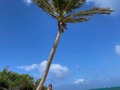 #IslaJohnnyCay #Fotografía #Photography #Photo #Mar #Beach #Playa #Nature #SanAndrés #SanAndres #SanAndrésIsland #SanAndresIsland #SanAndrésIslas #SanAndresIslas #SanAndrésIsla #SanAndresIsla #Paisaje #Instagram #Explore #Explora #Instagood #Instapic #PicOfTheDay #Health #Happines
