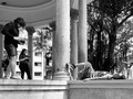 BS   De esas salidas por casco.   Donde terminas con 300 fotos brutales por el equipo que tienes contigo.   Gracias,   Jairo ♡