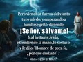 #Mateo 14:30-31 👉🏻 Pero viendo la fuerza del viento tuvo miedo, y empezando a hundirse gritó, diciendo: ¡Señor, sálvame! 31 Y al instante Jesús, extendiendo la mano, lo sostuvo y le dijo<***>: Hombre de poca fe, ¿por qué dudaste? #Confiemos_En_Dios 🙏🏻🌎