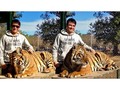ᴵ ᵀᴴᴼᵁᴳᴴᵀ ᴵ ˢᴬᵂ ᴬ ᶜᵁᵀᴱ ᴷᴵᵀᵀᴱᴺ 🐯🐯   •••  #tiger #animalfav #mylifestyle #mylife #traveler #mylifemyrules