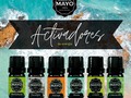Te sientes con la #energía muy baja, sin ganas de hacer nada? 😕🥺 Este tiempo de aislamiento ha provocado sin duda un sentimiento de decaimiento. Usa tus #aceitesesenciales @jardindemayo para llenarte de energía ⚡ Date una ayudita con #aromaterapia .  Está en tus manos sentirte mejor 😊 🟢 #hierbabuena ⚪ #eucalipto 🟠 #naranja  🔵 #menta 🟡 #limón  ⚫ #limoncillo  Pedidos WhatsApp 📲 3043540177 Servicio a domicilio en Cali Envíos a toda #colombia