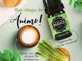 El #aroma del #limoncillo o #lemongrass 🌾🌿 aporta una chispa de #animo para continuar con tu día 👍🏻⚡ #aceitesesenciales @jardindemayo  Servicio a domicilio en Cali Envíos a toda #colombia  #essentialoils #limoncello #energy #energy #conejo