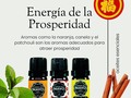 La energía de la #prosperidad está en flujo constante 🧧 Aromas como #naranja 🍊 #canela 🔴 y #patchouli 🟡 son ideales para elevar la vibración y atraer. 👉🏼 Prepara un spray de prosperidad con 15 gotas de aceite esencial y agua o alcohol de perfumería. @jardindemayo #aceitesesenciales  Pedidos WhatsApp 📲 3043540177 Servicio a domicilio en Cali Envíos a toda #colombia  #leydeatraccion #prosperidad #abundancia #fengshui