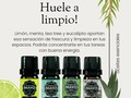 Con #aceitesesenciales como 🍈#limon #menta #teatree y #eucalipto tendrás en tus espacios ese aroma a fresco 🍃 y #limpio 🌟 que tanto te gusta! Recuerda que hay mil formas de usarlos. Si quieres tips de uso escríbenos al WhatsApp 📲 3043540177 Servicio a domicilio en Cali Envíos a toda #colombia  #essentialoils #fresh #clean #casa #home #limpieza #cleaning #bienestar #relax #stress #relajacion #estres