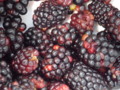 Blackberry