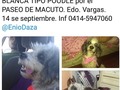 Si alguien en Macuto en el estado Vargas ha logrado ver a Luna, por favor comunicarse con su familia.