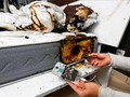 ¿Por qué no debes dejar cargando tu celular por las noches?