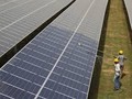 La energía solar se convierte en la «electricidad más barata de la historia», según la (AIE)