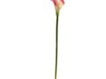 Pink Calla Lilly Silk Flowers (12 Stems) 2006    Calla Lilly Silk Flowers (12 Stems) One of the most stunning lilies, the Calla Lily, can be yours forever with these Nearly Natural beauties.