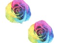 Neva Nude Pasty Rainbow Pride Rose Glitter Velvet 68878    Neva Nude Pasty Rainbow Pride Rose Glitter Velvet 68878 Neva Nude Pasty Rainbow Pride Rose Glitter Velvet 68878…